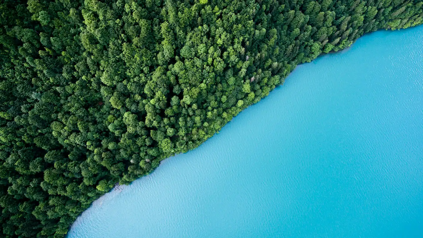 Aerial view of a green forest landscape